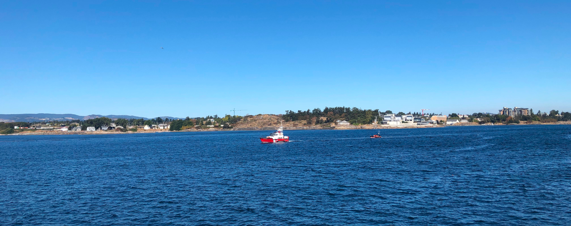 Ogden Point Breakwater in Victoria BC